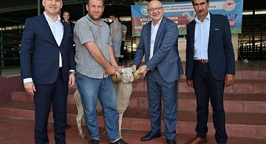 Manisa Büyükşehir Belediyesi'nden Üreticilere 250 Damızlık Koç Desteği