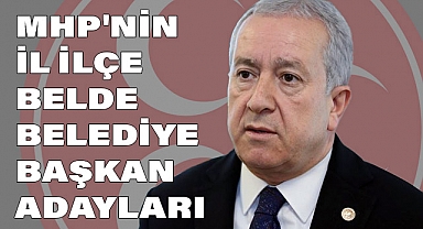 MHP'li Sadir Durmaz'dan Mahalli İdareler Seçimleri Açıklaması