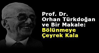 Prof. Dr. Orhan Türkdoğan, ve Bir Makale: Bölünmeye Çeyrek Kala
