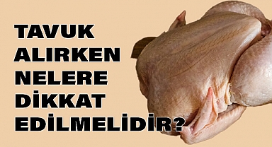 Tavuk alırken nelere dikkat edilmeli?