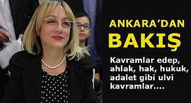 Yazar Emine Özgenç'ten Siyasi Partilere Eleştirel Bakış