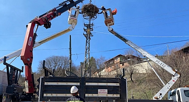 Elektrik Dağıtım Şirketi YEDAŞ,