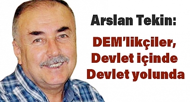 Arslan Tekin: DEM'likçiler, Devlet İçinde Devlet Yolunda