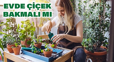 Evde Çiçek Bakmalı mı?