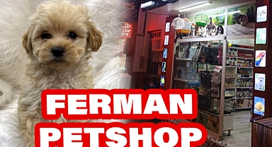 Ferman Petshop; Çarşamba'da Evcil Hayvan Sahiplerinin Adresi