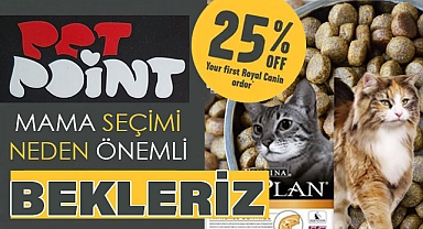 Pet Point Rehberi: Kedi ve Köpekler İçin Mama Tavsiyeleri