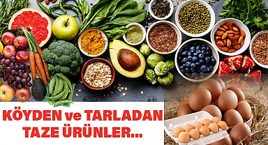 Samsun'da Baloğlu Bal Ürünleri ile Doğal Lezzetler Sofranızda