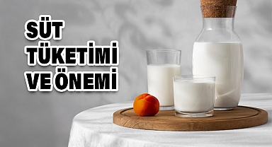 1 Haziran Dünya Süt Günü: Süt ve Süt Ürünlerinin Önemi