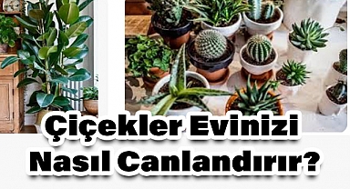 Çiçeklerle Yaşam Alanınızı Nasıl Renklendirebilirsiniz?