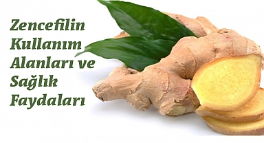 Mucizevi Bitki Zencefil: Şifa Kaynağı