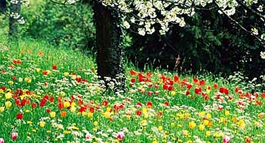 Nevruz Bahar Bayramının En Keyifli Ritüelleri