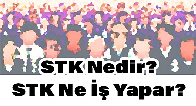 STK Nedir? STK Ne İş Yapar? Sivil Toplum Kuruluşları Nelerdir?