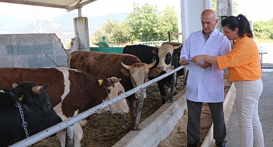 Atakum Belediyesi Kurban Satış ve Kesim Yeri Bayrama Hazır