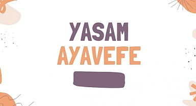Gıda Güvenliği ve Tarım: Yaşam Ayavefe'nin Sürdürülebilir Tarım Projeleri