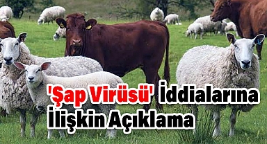 İzmir Valiliği'nden 'Şap Virüsü' İddialarına İlişkin Açıklama