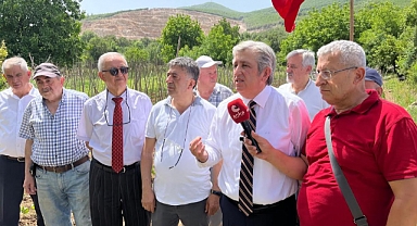 Kavak Köseli’deki Doğa Katliamına Tepki Büyüyor