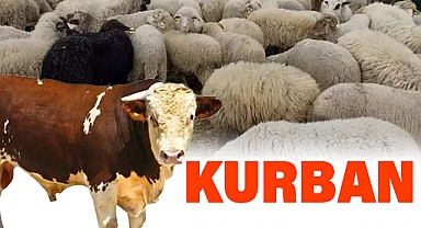 Kimler Kurban Kesmekle Yükümlüdür?