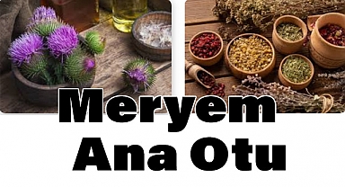 Meryem Ana Otu Hakkında Merak Edilenler
