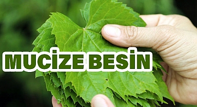 Üzüm Yapraklarının Sağlığa Faydaları: Bir Mucize Besin