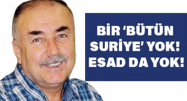 Arslan Tekin: 'Bir ‘Bütün Suriye’ Yok! Esad da Yok!'