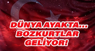 Arslan Tekin: 'Dünya Ayakta… Bozkurtlar Geliyor!'