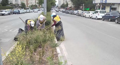 Atakum'da Park ve Çiçeklere Kadın Eli Değdi