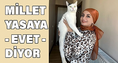 Bedriye Arık Çambel'in Makalesi: Hayvan Sevgisinin Önemi ve Yasalar Üzerine