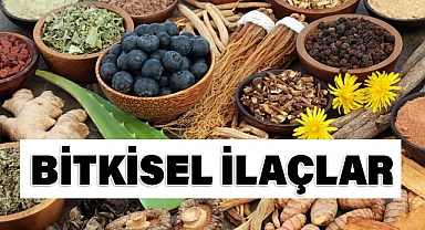 Bitkisel İlaçlar ve Takviyeler: Kullanım, Güvenlik ve Dikkat Edilmesi Gerekenler