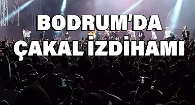 Bodrum'da Çaka İzdihamı