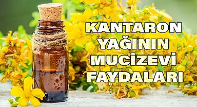 KANTARON YAĞININ MUCİZEVİ FAYDALARI