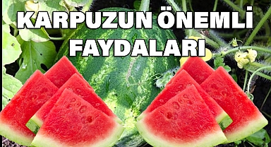 Karpuzun 8 Önemli Faydası