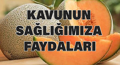 Kavunun Yetiştiği Bölgeler ve Sağlığa Faydaları Nedir?