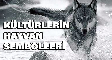 Kültürlerin Sembolleri: Her Millet Kendini Bununla İfade Eder