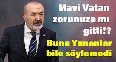 MHP'li Yıldırım’dan CHP’li Namık Tan’ın 'Mavi Vatan' Açıklamalarına Sert Tepki