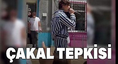 Rapçi Çakal Şarkısıyla Çocukları Zehirliyor!