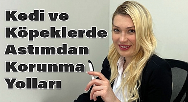 Selin Çelikten; Kedi ve Köpeklerde Astımdan Korunma Yolları