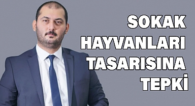 SEVİM'DEN SOKAK HAYVANLARI TASARISINA TEPKİ