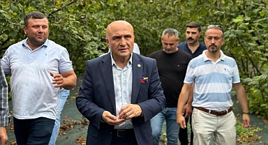 Erhan Usta: Fındık Üreticisi Batma Noktasında, Acil Önlemler Alınmalı