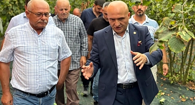 İYİ Parti’den Fındık Üreticisinin Sorunlarına Dair TBMM Soru Önergesi