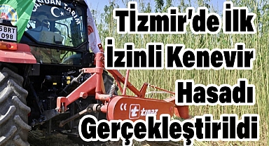 İzmir’de İlk İzinli Kenevir Hasadı Gerçekleştirildi