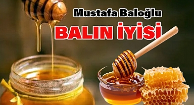 Karadeniz Yaylalarının Şifalı Armağanı: Şekersiz Organik Bal Baloğlu'nda