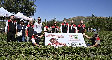 Ödemiş’te Organik Çilek Projesi İlk Hasadını Verdi