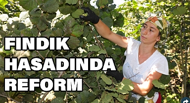 Ordu’da 'Fındık Dalda Aklın İşçide Kalmasın' Projesi 5. Yılında