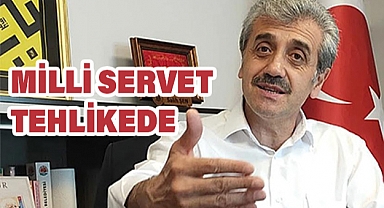 Samsun’da Kokarca Fındık Üretimini Tehdit Ediyor: Toplumsal Mücadele Çağrısı