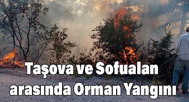 Taşova ve Sofualan arasında Çıkan Orman Yangını Kontrol Altına Alındı