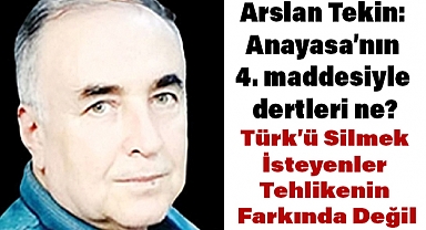 Arslan Tekin: Anayasa’nın 4. maddesiyle dertleri ne?