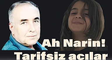 Arslan Tekin'in yeni yazısı: Ah Narin!... Tarifsiz acılar