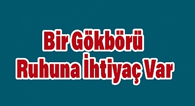 Arslan Tekin, Bir Gökbörü Ruhuna İhtiyaç Var