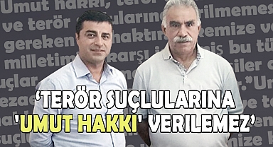 Terör Suçlularına 'Umut Hakkı' Verilemez