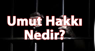 Umut Hakkı Nedir?